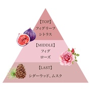 TXeBiutOX b`nhN[ tBOF[/tFi_ iʐ^
