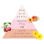 tOX UV~Xg /tFi_ iʐ^