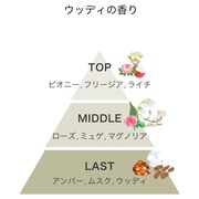 track Etiquette mist Woody/track(gbN) iʐ^