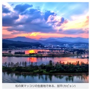CO Ct[Yh Wb}bRZ/FILFLO iʐ^