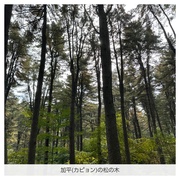 CO Ct[Yh Wb}bRZ/FILFLO iʐ^