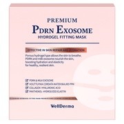 v~A PDRN GN\\[nChQtBbeBO}XN/WELLDERMA iʐ^ 1