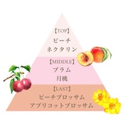 tOX mP~JtuN[ /tFi_ iʐ^