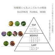 04.vZ^CX`[Z/irise cosmetics iʐ^