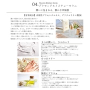 04.vZ^CX`[Z/irise cosmetics iʐ^
