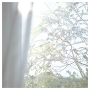 XLItOX@[jOf[/aroma (AbgA}) iʐ^