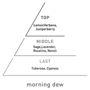 XLItOX@[jOf[/aroma (AbgA}) iʐ^
