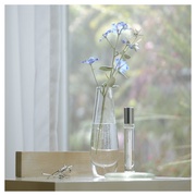 XLItOX@[jOf[/aroma (AbgA}) iʐ^