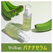 O[oiiZ/WELLOGY iʐ^
