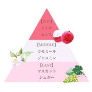 tOXlCg[gg C`/tFi_ iʐ^