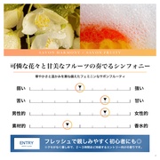 NILE SAVON HARMONY iT{hn[j[jI[hg/NILE iʐ^