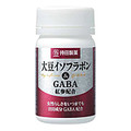 哤C\t{GABA@gQz/r^R[W iʐ^