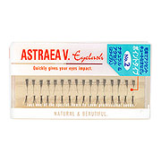 ACbV |Cg^Cv 2/AXgA BS iʐ^