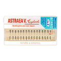 ACbV |Cg^Cv 2/AXgA BS iʐ^