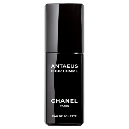 CHANEL ANTAEUS シャネル アンティウス 50ml 香水 - 香水(女性用)