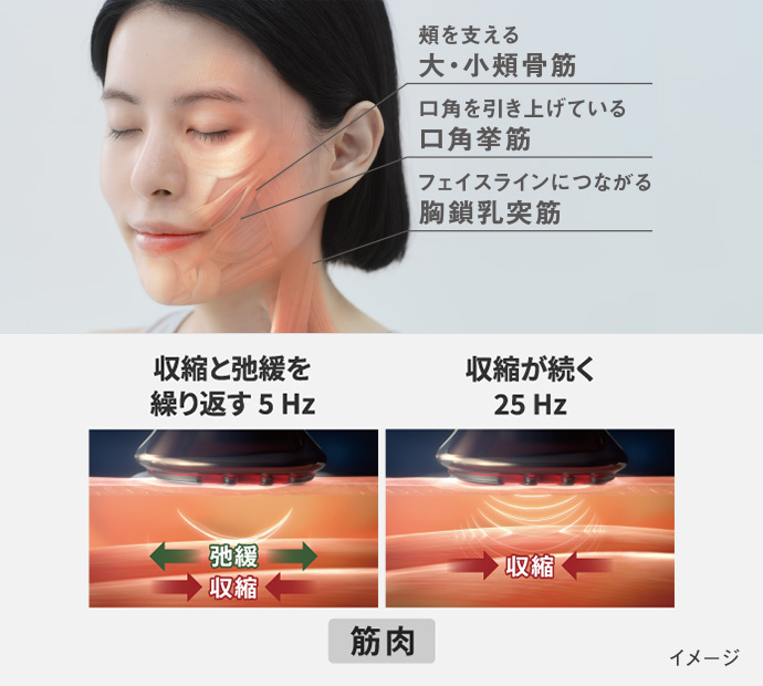 Panasonic(パナソニック)のおすすめキャンペーン情報|美容 Panasonic(パナソニック)のおすすめキャンペーン情報|美容