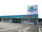 ドラッグスギヤマ 豊田浄水店
