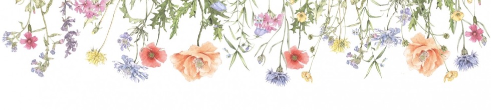 上田　麻里さん背景画像