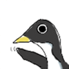 penguinさん