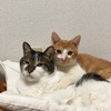 Norbertさん