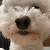 hirocosme･☆ﾟ:*:ﾟさん
