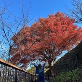 @ゆめさん