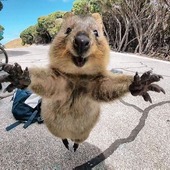 ※こみや※さん