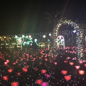 えりえり(*´ω`*)さん