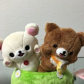 みーこみいこさん