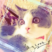 *＊まいにゃん＊*さん