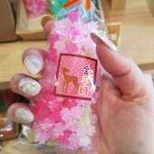 ちゃぴよちさん
