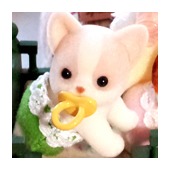 パキケさん