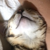 ★Juliette★さん