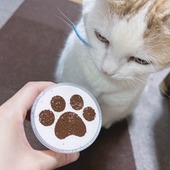 ももちゃむぽさん