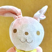 ★もふもふうさぎ★さん