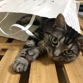 ないすーみんさん