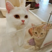 (さな)。さん