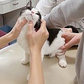 ●mimiちゃん●さん
