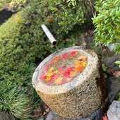 mama_maiさん
