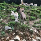 Kiyongさん