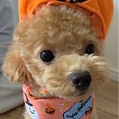 みるたんさんさん