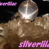 silverlilacさん