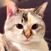 ＊エリカボチャ＊さん