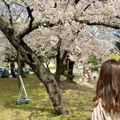 chiri.さん