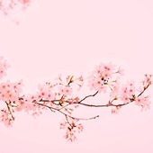早坂茜?さん