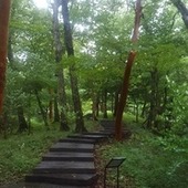 みふれあみさん