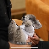 かずっこざえもんさん