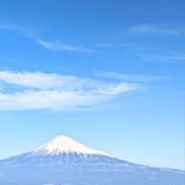 アジアの山猫さん