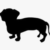 黒い長い犬さん