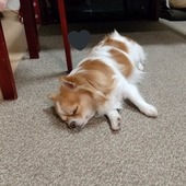 リューカさん